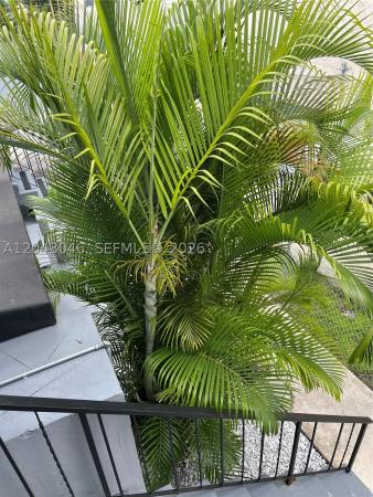 2010 SW 6th St #4, Miami, Florida 33135, image 3