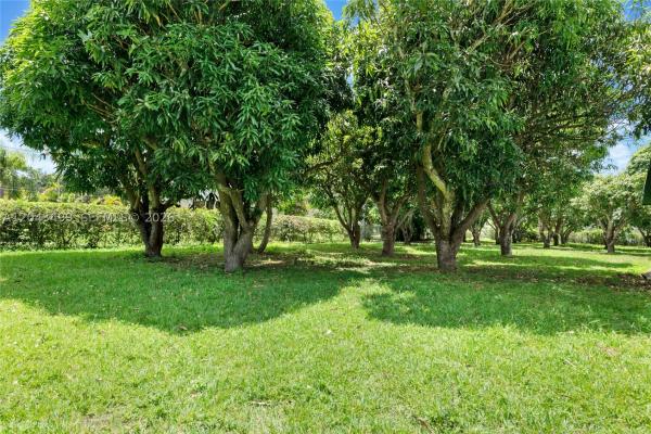 Perrine Grant, 8000 SW 184th St, Cutler Bay, Florida 33157, image 3