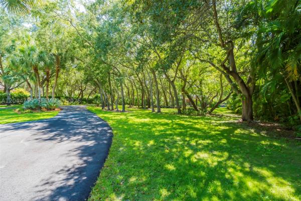 Casa Paradiso, 12121 SW 64th Ave, Pinecrest, Florida 33156, image 2