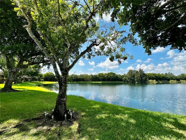 Reflections At Pine Island Lakes, 4245 S Pine Island Rd, Davie, Florida 33328, image 1