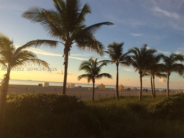 The Decoplage, 100 Lincoln Rd #1126, Miami Beach, Florida 33139, image 3