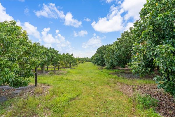 Homestead, Florida 33030, image 1