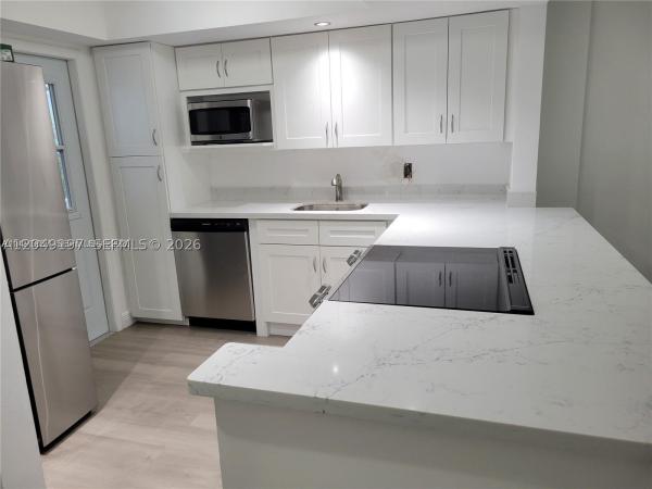 April Song, 1333 E Hallandale Beach Blvd #329, Hallandale Beach, Florida 33009, image 2