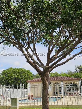 15721 SW 137th Ave #204, Unincorporated Dade County, Florida 33177, image 3