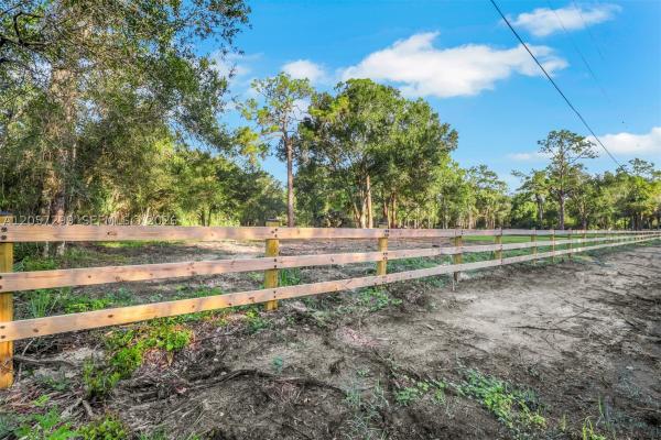 Happy Bull Farms, 6700 Louella Dr, Fort Myers, Florida 33905, image 1