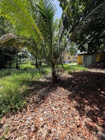 809 NW 108th St, Unincorporated Dade County, Florida 33168, image 2