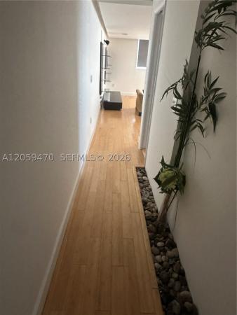 Manatee, 9273 Collins Ave #212, Surfside, Florida 33154, image 2