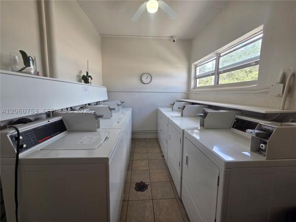 Star Paradise, 415 NE 2nd St #229, Hallandale Beach, Florida 33009, image 3