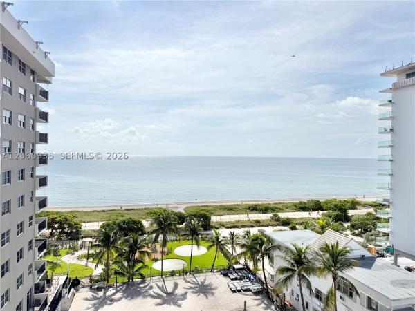 Manatee, 9273 Collins Ave #811, Surfside, Florida 33154, image 3