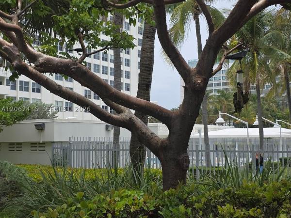 Triton Tower, 2899 Collins Ave #940, Miami Beach, Florida 33140, image 1