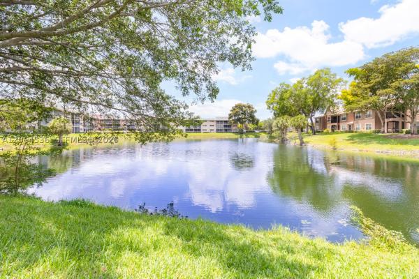 The Palms At Forest Hills, 2920 Forest Hills Blvd #101, Coral Springs, Florida 33065, image 3