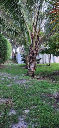 Biscayne At Huntington, 4221 SW 153rd Ave, Miramar, Florida 33027, image 2