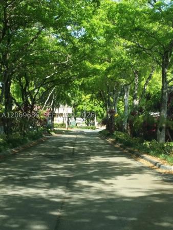 Windmill Gate, 6364 Milk Wagon Ln, Miami Lakes, Florida 33014, image 2