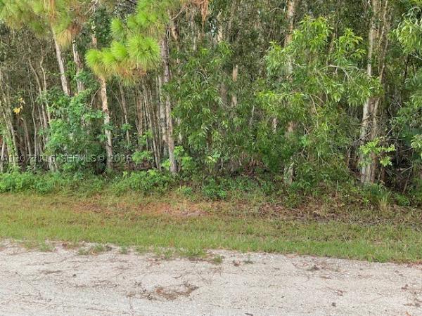 12099 82nd St N, West Palm Beach, Florida 33412, image 2