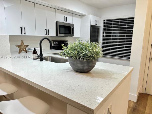 Lake Pointe, 202 Lake Pointe Dr #104, Oakland Park, Florida 33309, image 1
