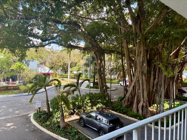 Nirvana, 700 NE 63rd St #D201, Miami, Florida 33138, image 2