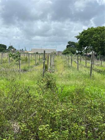 Homestead No HOA, 4st SW 187th Ave, Homestead, Florida 33030, image 3