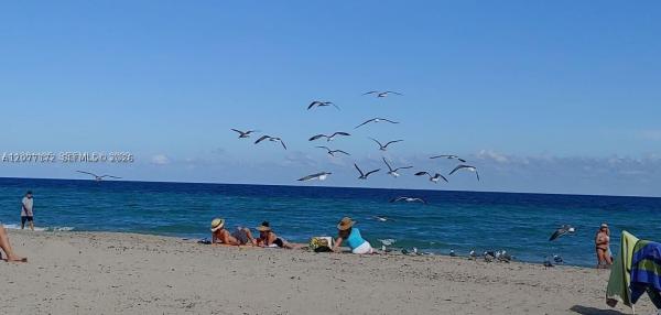 Costa Hollywood, 777 N Ocean Dr #N510, Hollywood, Florida 33019, image 3