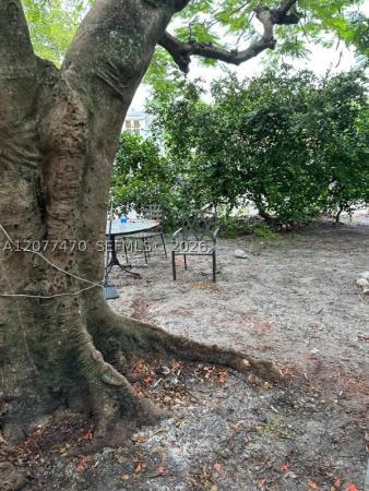 Royal Poinciana, 1918 Sheridan St #1-2, Hollywood, Florida 33020, image 3