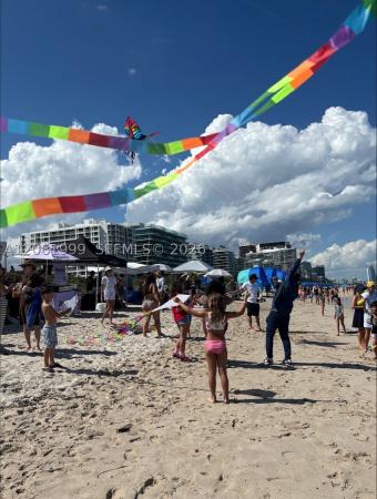 Normandy Beach, 8818 Carlyle Ave, Surfside, Florida 33154, image 3