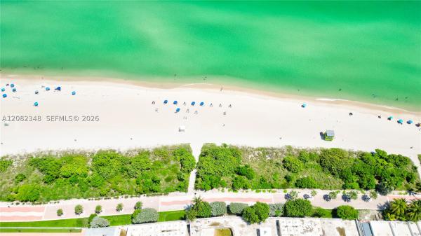 Ashley, 5640 Collins Ave #6B, Miami Beach, Florida 33140, image 2