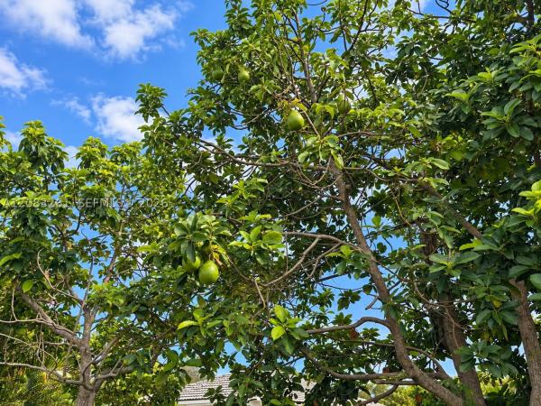 Venetian Gardens, 4120 NW 166th St, Miami Gardens, Florida 33054, image 1