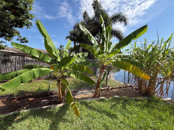 Sunflower, 8250 NW 66th Ter, Tamarac, Florida 33321, image 2