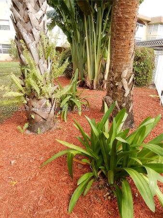 Elm Gardens, 5051 W Oakland Park Blvd #302, Lauderdale Lakes, Florida 33313, image 2