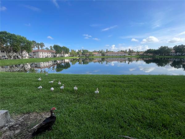 1251 SE 31st Ct #106-54, Homestead, Florida 33035, image 3