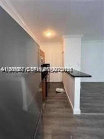 The Dove, 7920 Harding Ave #1, Miami Beach, Florida 33141, image 1