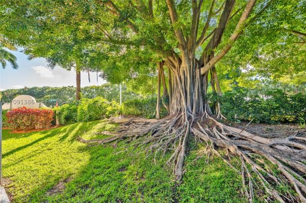 San Remo, 621 Talavera Rd, Weston, Florida 33326, image 1