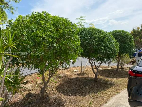Palm-Aire Village, 3160 NW 63rd St, Fort Lauderdale, Florida 33309, image 1
