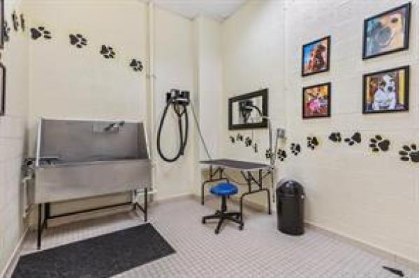 Casa Costa, 450 N Federal Hwy #902, Boynton Beach, Florida 33435, image 1