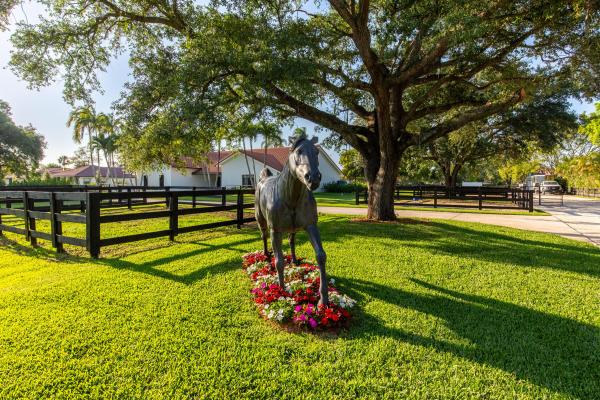 Saddle Trail Park Of Wellington, 14828 Rolling Rock Pl, Wellington, Florida 33414, image 2