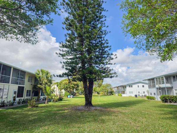 Norwich At Century Village, 291 Norwich M, West Palm Beach, Florida 33417, image 3