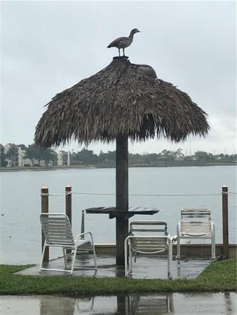 Lake Emerald, 112 Lake Emerald #204, Oakland Park, Florida 33309, image 1