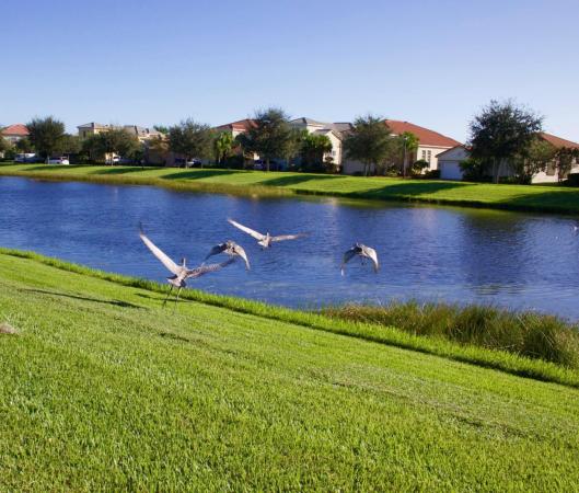 Lake Park At Tradition, 12871 SW Lake Fern Cir, Port St. Lucie, Florida 34987, image 1