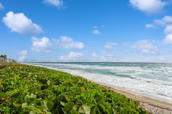 3200 S Ocean Blvd #B104, Palm Beach, Florida 33480, image 1