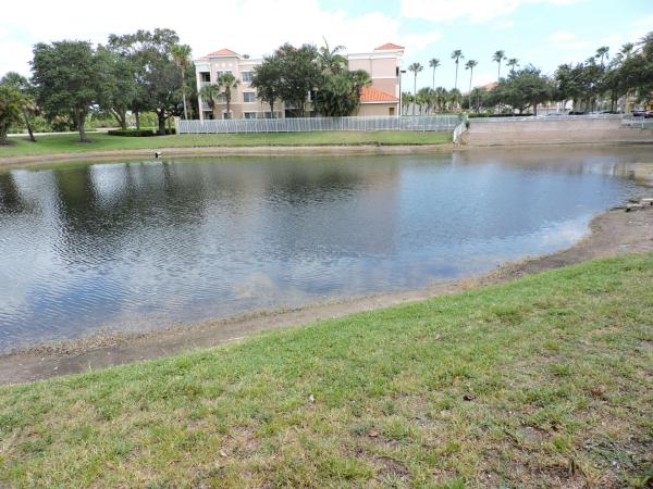 Residences At Legacy Place, 11032 Legacy Dr, Palm Beach Gardens, Florida 33410, image 1
