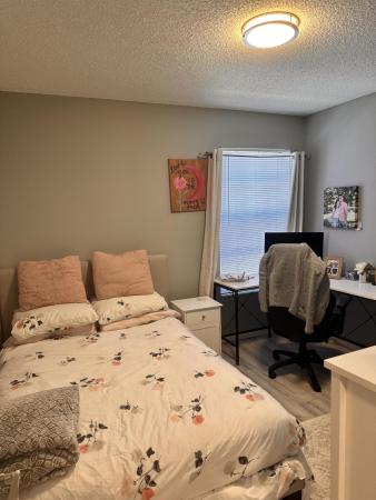 2800 Palmwood Ter, Boca Raton, Florida 33431, image 1