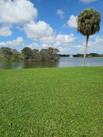 Seville At Kings Point, 92 Seville Dr, Delray Beach, Florida 33446, image 1