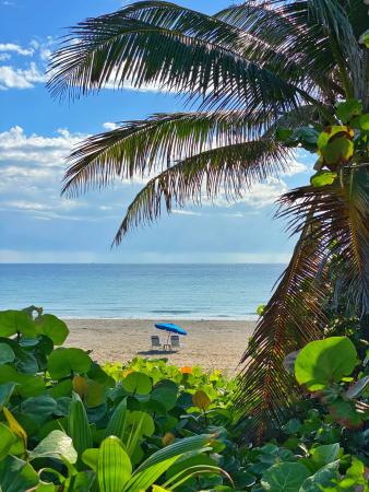 Marina Village At Boynton Beach, 700 E Boynton Beach Blvd #1203, Boynton Beach, Florida 33435, image 3