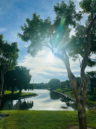 Watersedge At Lakes Of Delray, 15075 Witney Rd #211, Delray Beach, Florida 33484, image 1