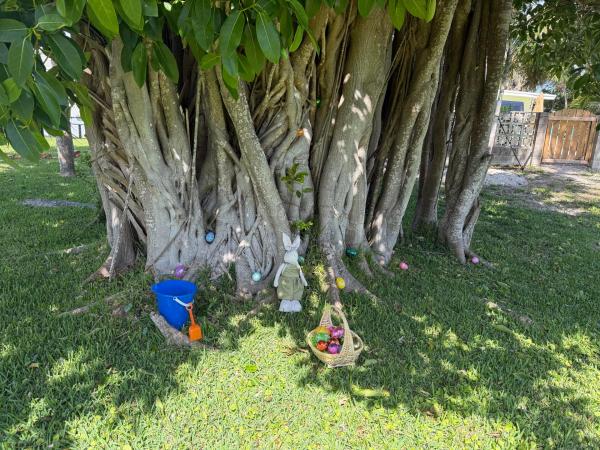 00 Coral Cir, Fort Pierce, Florida 34949, image 1