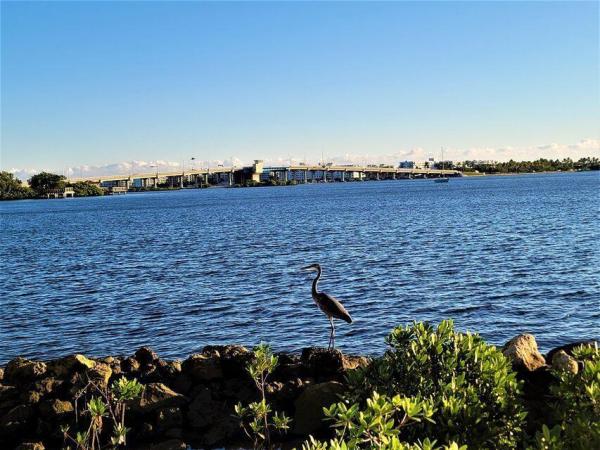 220 Lucerne Ave #1, Lake Worth Beach, Florida 33460, image 1