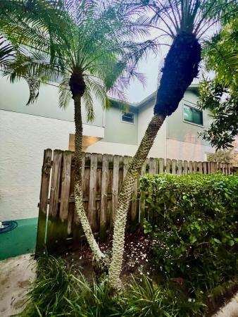 Garden Villas, 4320 Lilac St #2c, Palm Beach Gardens, Florida 33410, image 1