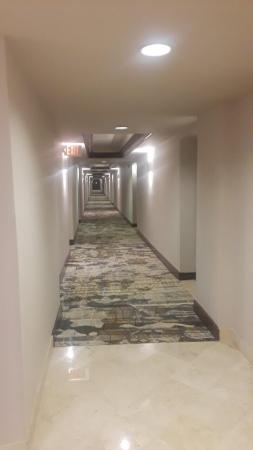 Palmetto Place, 99 SE Mizner Blvd #215, Boca Raton, Florida 33432, image 1
