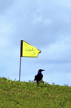 8181 14th Hole Dr, Port St. Lucie, Florida 34952, image 2