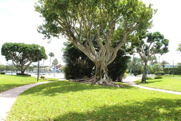 Porta Bella East, 859 Jeffery St #311, Boca Raton, Florida 33487, image 1