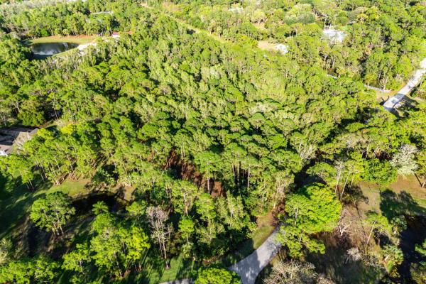 Caloosa, 00000 Mallard Creek Dr, Palm Beach Gardens, Florida 33418, image 2